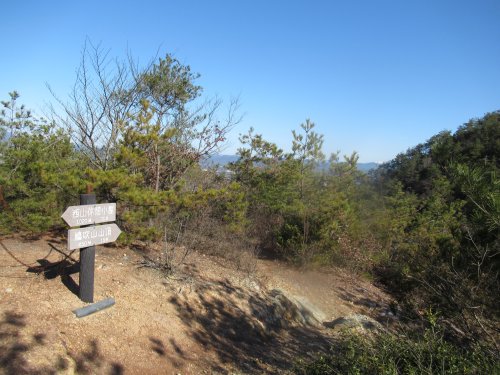 登山道